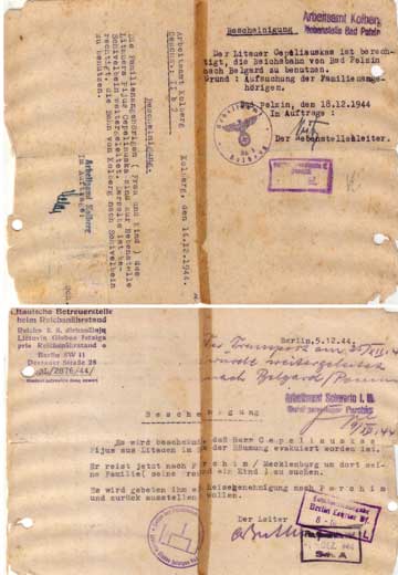 German Travel Doc 1944